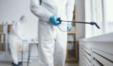 autentic ddd firma deratizare dezinsectie dezinfectie