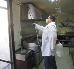 dezinsectie 345x300 1
