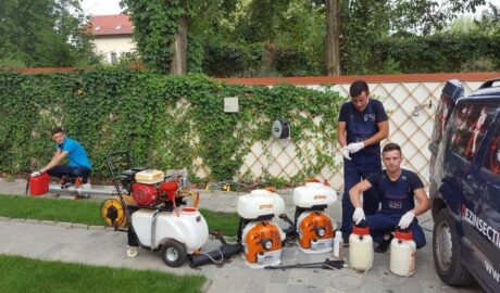 servicii dezinsectie 5 e1732119645846
