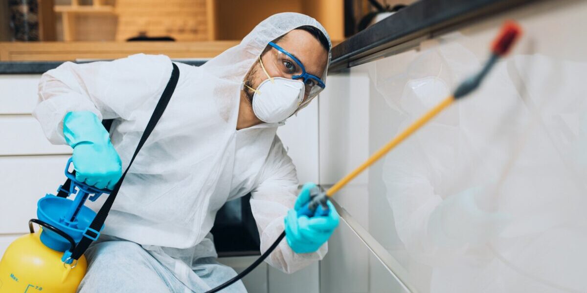 House pest control