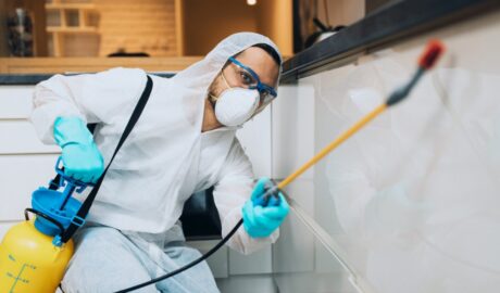 House pest control