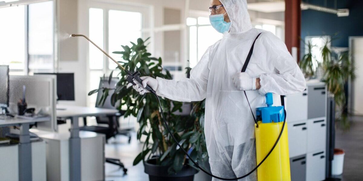 Deratizare HACCP