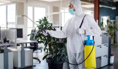 Deratizare HACCP