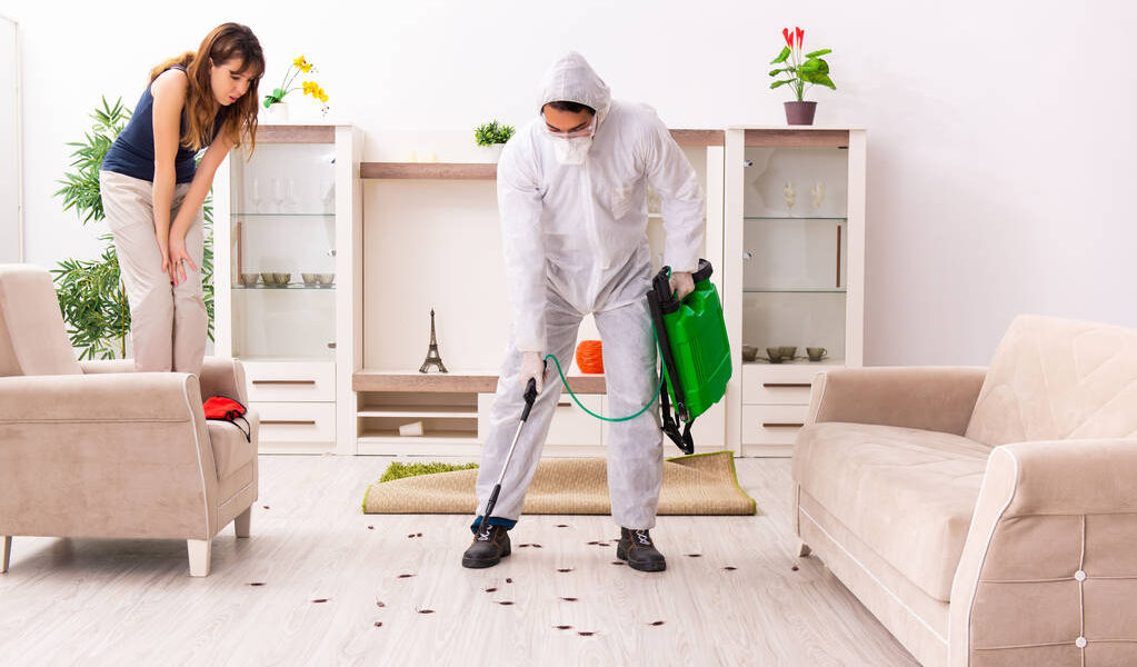 Servicii de Dezinsectie, Deratizare, Dezinfectie stopinsect.md
