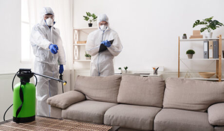 Men,In,Virus,Protective,Suit,Making,Treatment,Of,Sofas,And