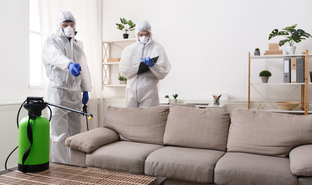 Men,In,Virus,Protective,Suit,Making,Treatment,Of,Sofas,And