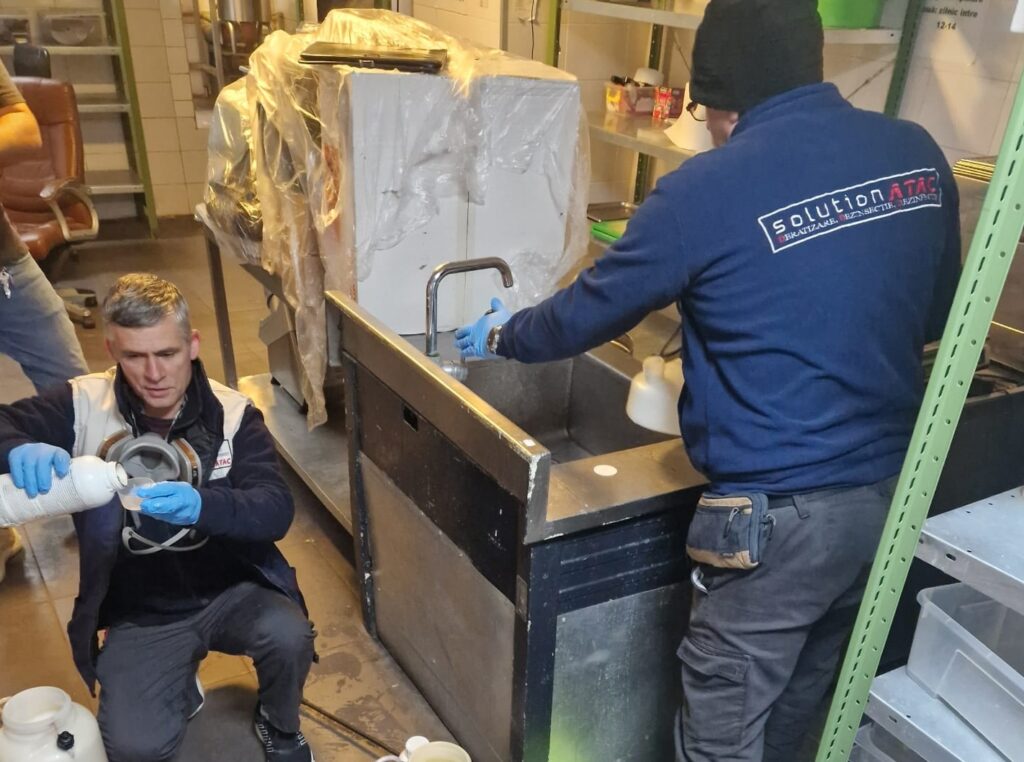dezinsectie pret